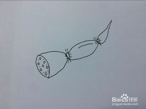设计 矢量 矢量图 手绘 素材 线稿 800783一株莲藕叶