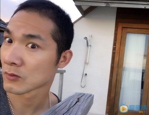 逆袭之星途璀璨叶琛是谁扮演的逆袭之星途璀璨叶琛扮演者赵健个人资料