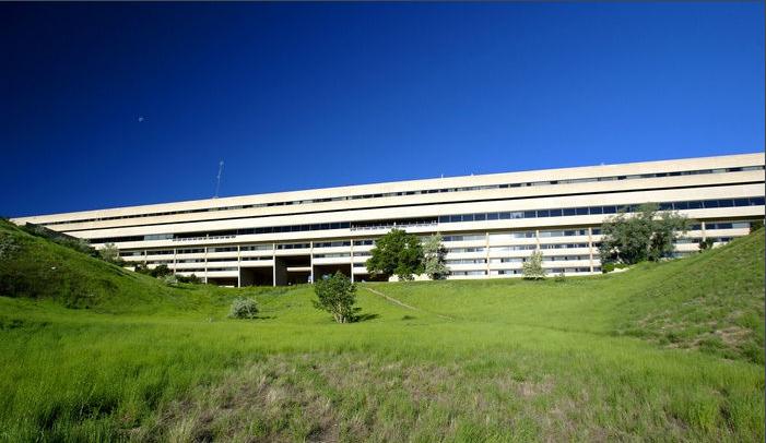 莱斯布里奇大学