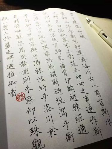 硬笔临《洛神赋》