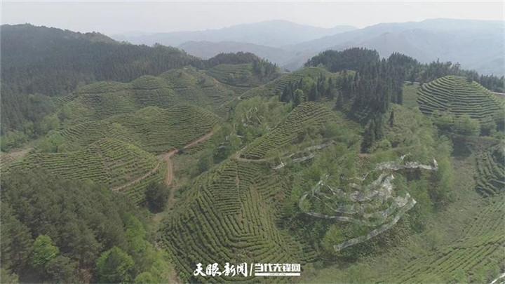 【多彩贵州·相约2020】甩开膀子加油干 直与天地争春回丨晴隆县贯彻