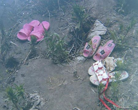 少女死亡事件调查