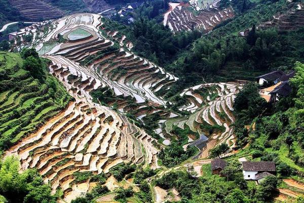 中国第三大梯田江西赣州上堡梯田