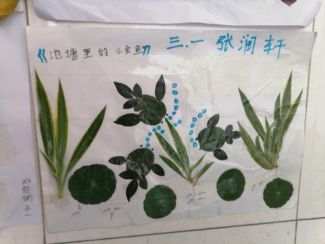 柏林中心完小三年级一班综合实际活动——树叶贴画