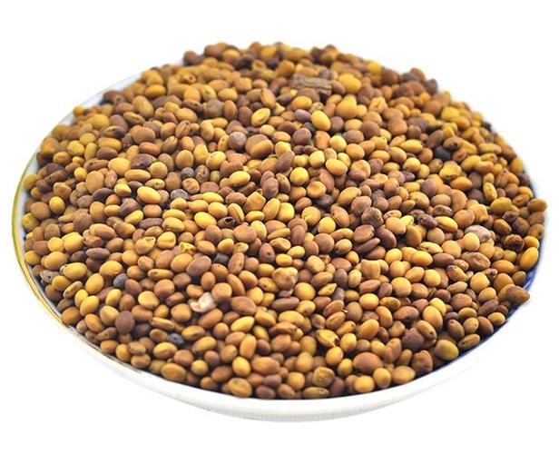 苦豆子的功效与作用_苦豆子的价格多少钱一斤--信誉藏药网