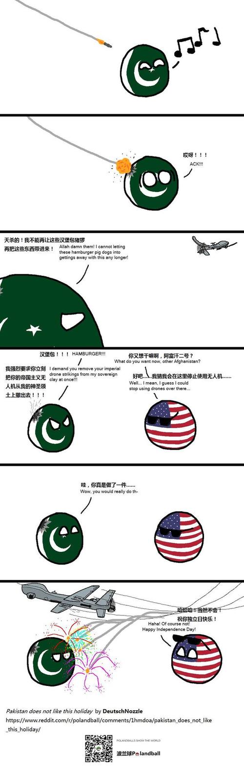 美国的全球反恐战争打响后,巴基斯坦加入了美国的反恐怖同盟,每年都