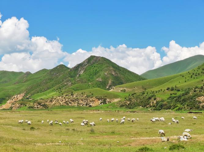 甘南美景 - 花粉随手拍风光 花粉俱乐部