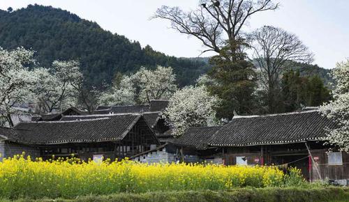 20174采风贵州松桃梨花村