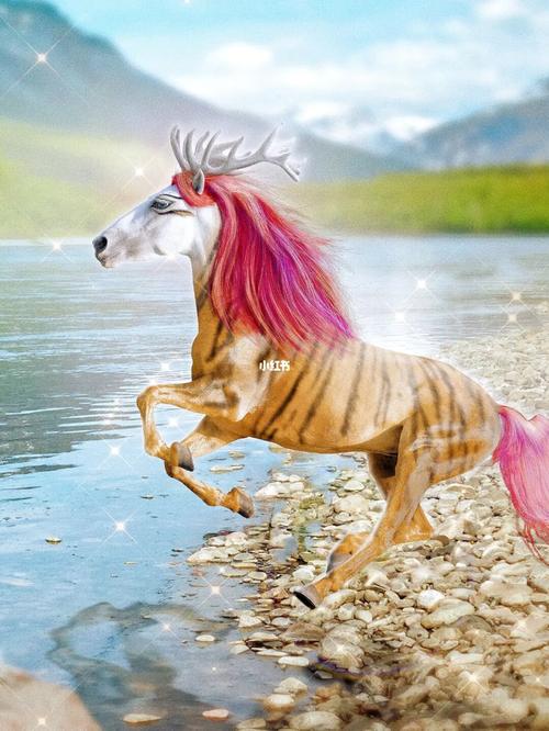 《山海经》鹿蜀_山海经_皮毛_鹿蜀_文化_阅读