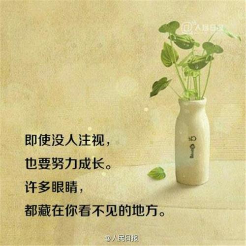 我的退休生活(更新版)