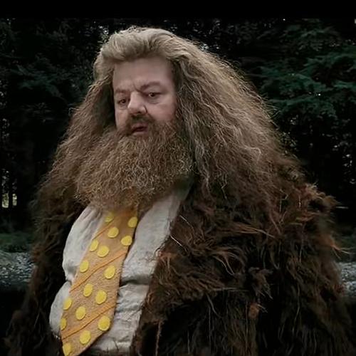 哈利波特系列hagrid海格5月再更吧