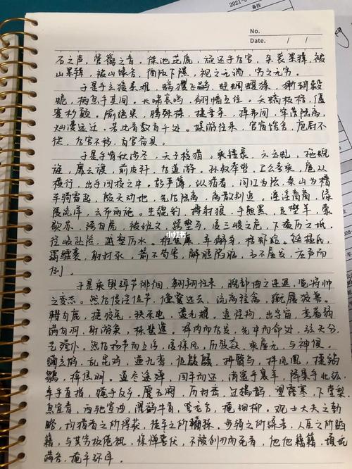 随笔 手抄《上林赋》_随笔_故事_隨筆_文化_书法