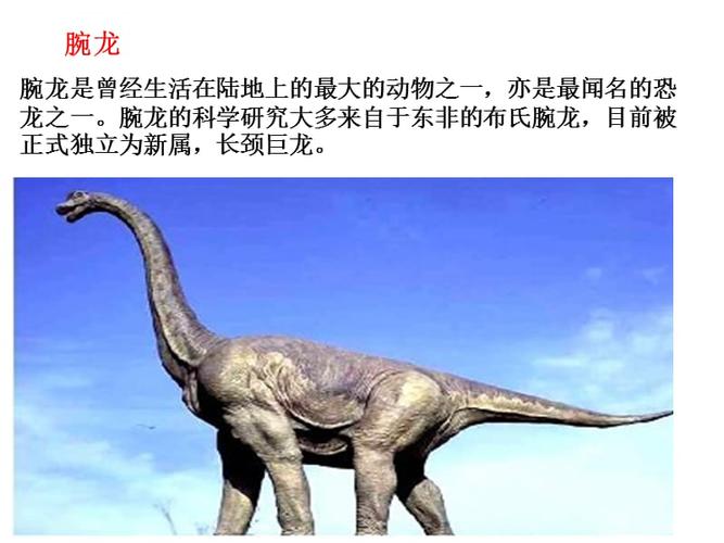 大班科学:食草恐龙和食肉恐龙