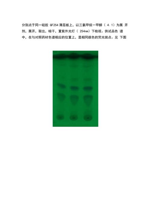 防风显微及薄层色谱鉴别.docx 5页