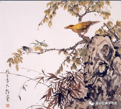 《庄子》释解(七三):螳螂捕蝉,黄雀在后