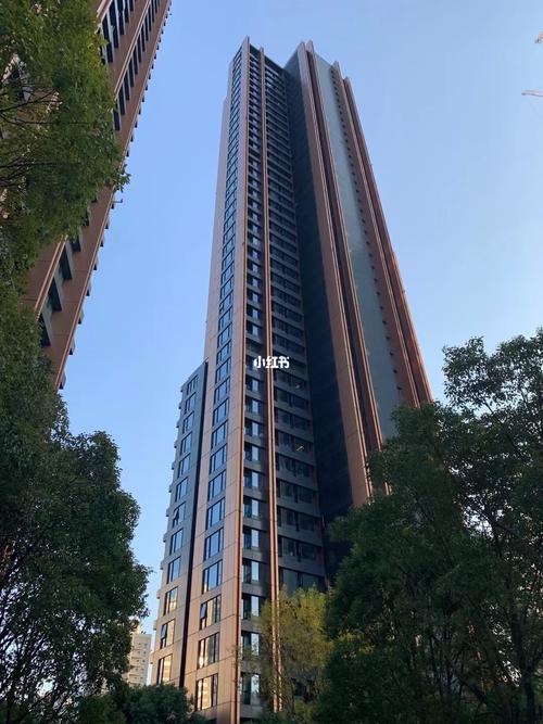 华侨城苏河湾塔尖 大三房_资讯_楼市资讯