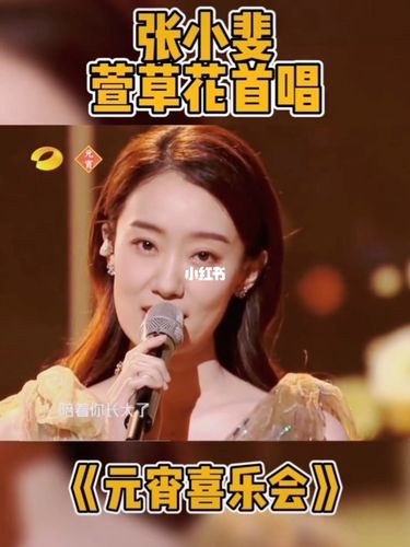 张小斐元宵节首唱《萱草花》温柔好听_元宵节去哪玩_你好李焕英_娱乐