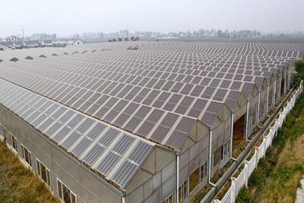 马鞍山温室配套系统电话推荐咨询_旺杰大棚制作_河北