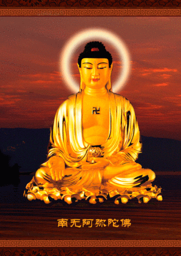 看不明白的世界 的喜欢