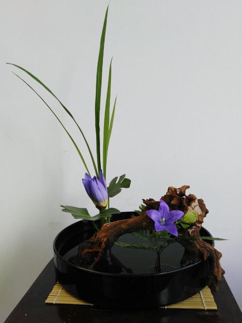 茶艺插花高级课程随笔(1)