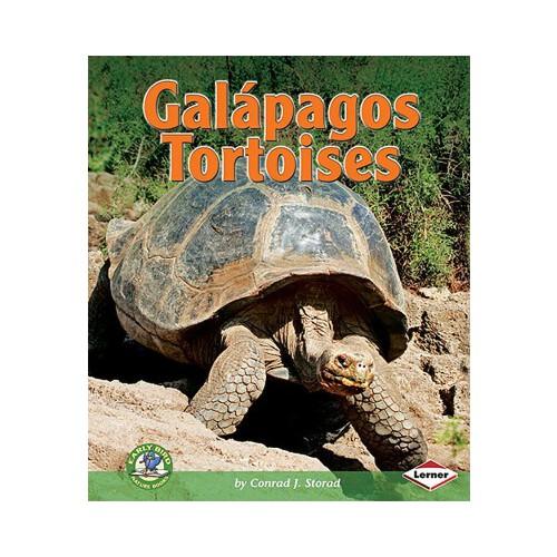 galapagos,galapagos islands 【预订】galapagos tortoises 9780822594314