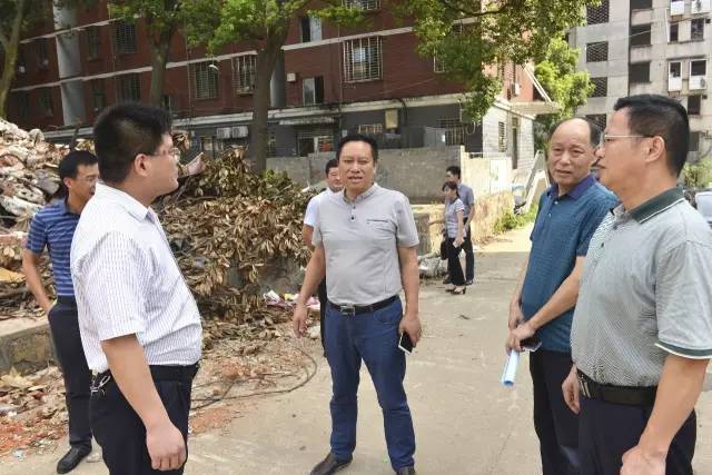 调研岳阳楼区招商引资工作,区领导陈阁辉,李峰,王智勇,邓建华参与调研
