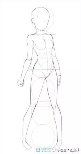 板绘教程——零基础怎么画好人体结构?