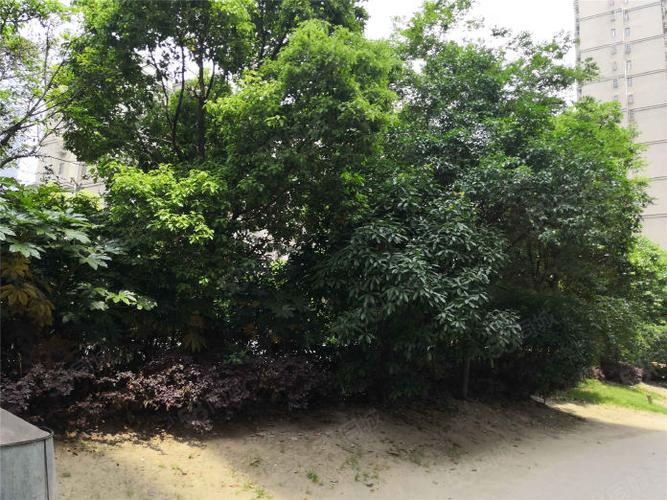 越河小区1室1厅1卫环境优美南北通透拎包入住