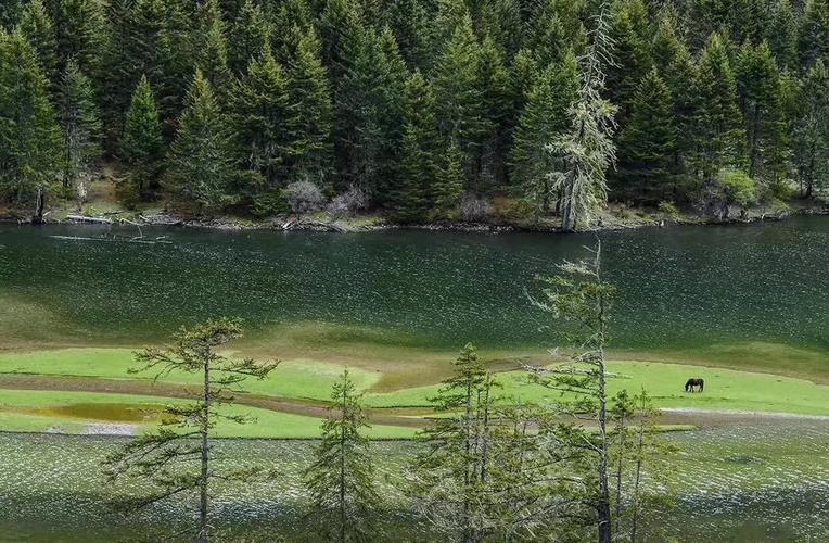 荷花海国家森林公园