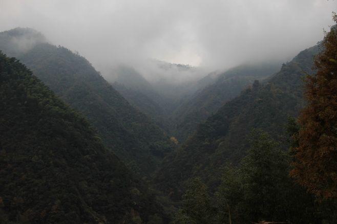 空山新雨后 正是踏秋时