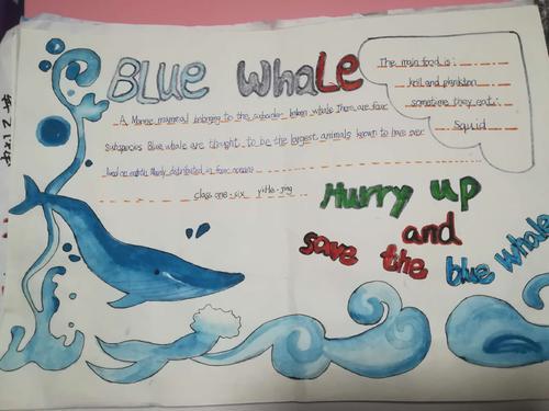 关爱濒临灭绝动物英语手抄报 动物英语手抄报