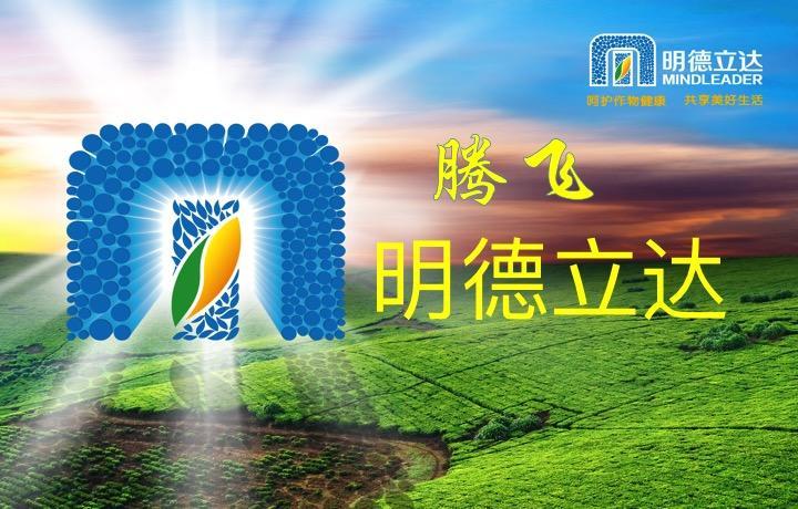 明德立达公司简介
