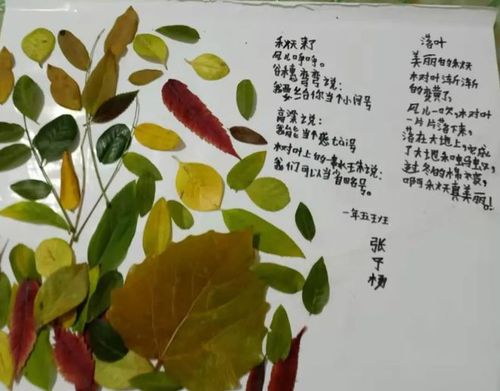 记孩子们与诗歌的"第一次触电"|叶子|落叶|蝴蝶|花朵|小鸟_网易新闻