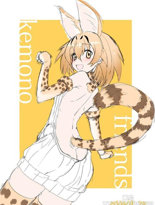 会员くろぬこネーロkuronekoneropixiv图片包推特图包863p