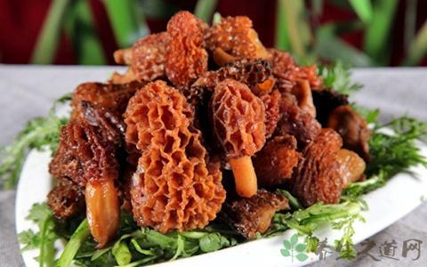 羊肚菌的营养价值与吃法(2)