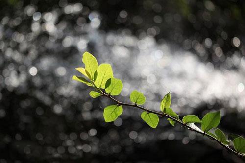 合肥影楼化妆学校巧用单反虚化背景