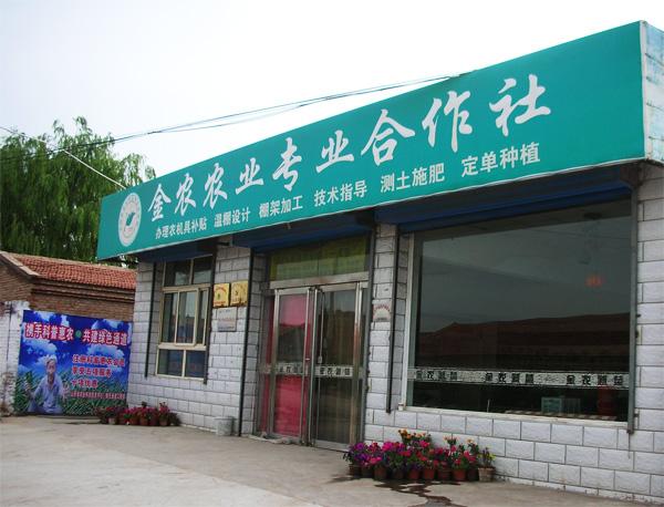 大同金农蔬菜专业合作社