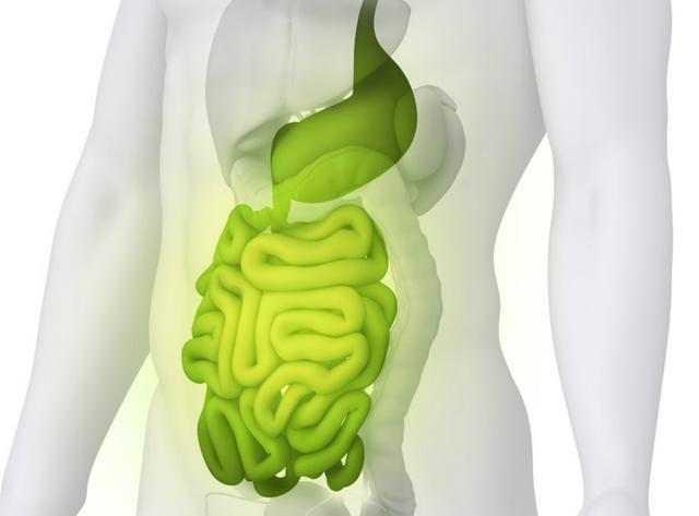 三天排便一次和一天排便三次,哪种人的肠道更健康?不