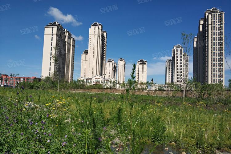 哈尔滨华南城·紫荆名都-实景图(9) - 哈尔滨安居客