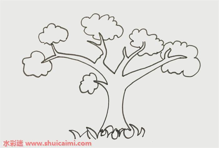 树冠怎么画树冠简笔画步骤图