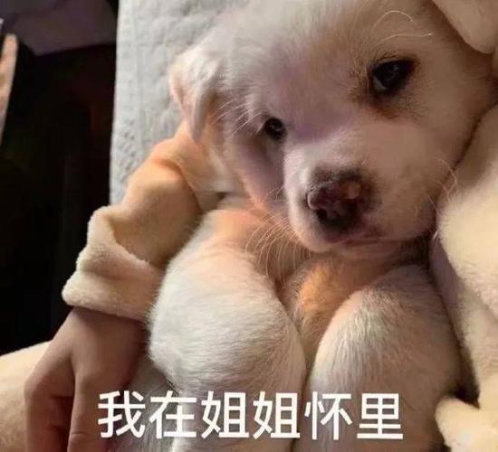 没必要吧,叔叔表情包 - 表情图