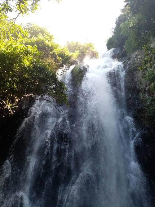 8.13登深圳坪山马峦山郊野公园!绿色马峦山,生态健康游!