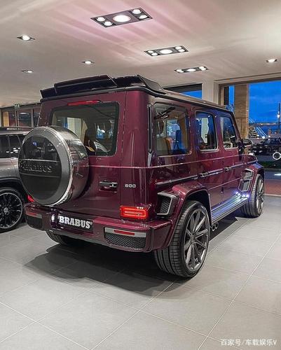 酒红巴博斯g级!