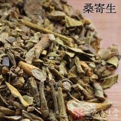 桑寄生的功效与作用,桑寄生的副作用与禁忌
