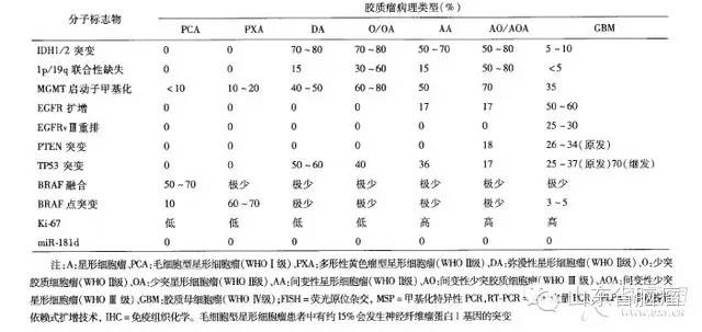 手术推荐最大程度安全切除肿瘤;放疗推荐分次外照射;化疗推荐替莫唑胺