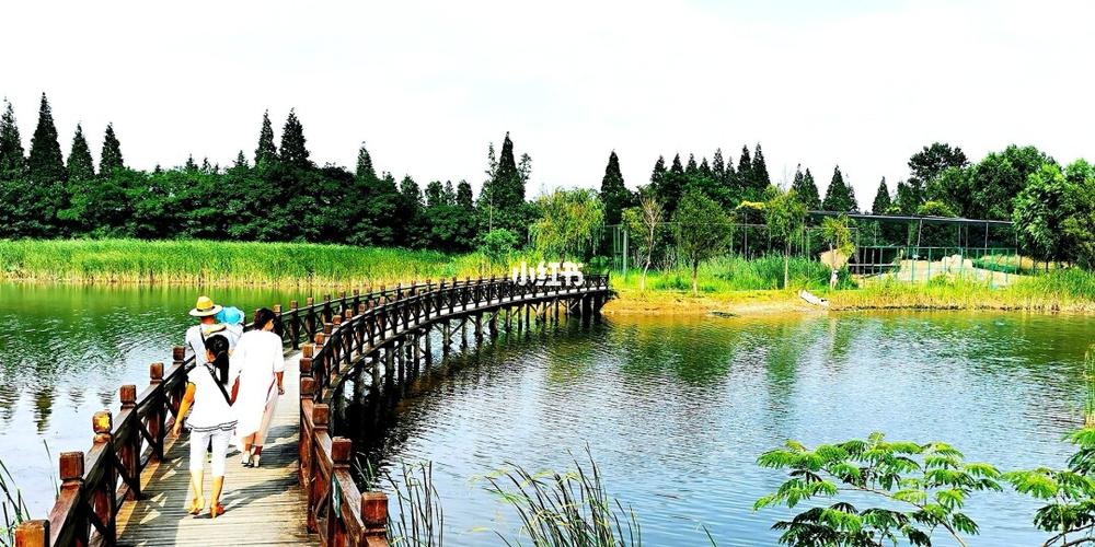 疫情前,去了洪泽湖湿地公园,这里是国家aaaa级旅游景区,中国十大生态