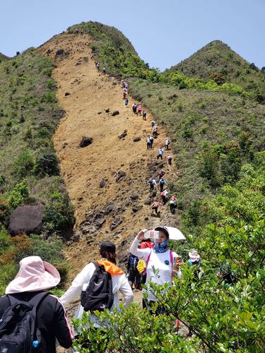 高州大水坑顶赏花