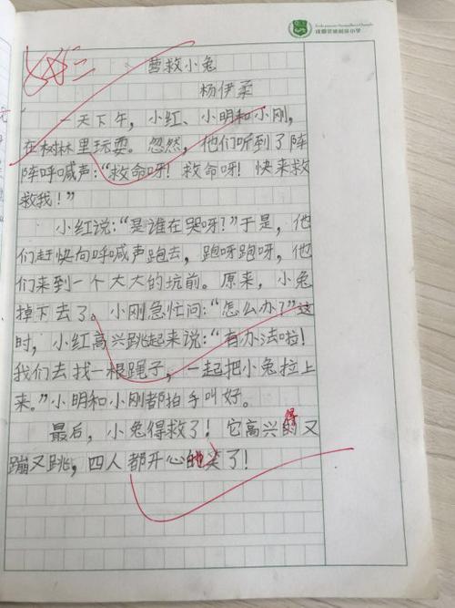 营救小兔作文
