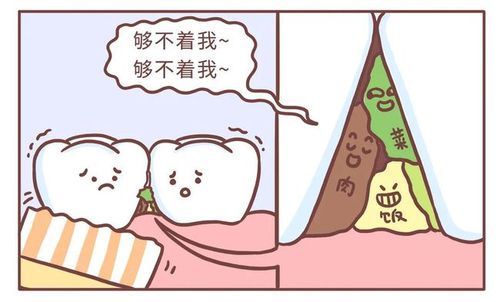 要想牙口好光刷牙真不够