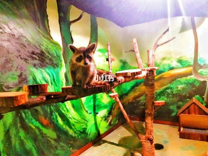 万象萌宠公园_萌宠_动物园_万象萌宠公园_拍照_猫猫_狗狗_动物园里的